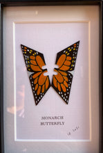 Load image into Gallery viewer, Lene Bladbjerg - Monarch Butterfly
