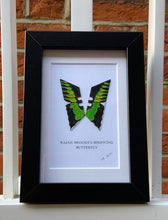 Load image into Gallery viewer, Lene Bladbjerg - Rajah Brookes Birdwing Butterfly
