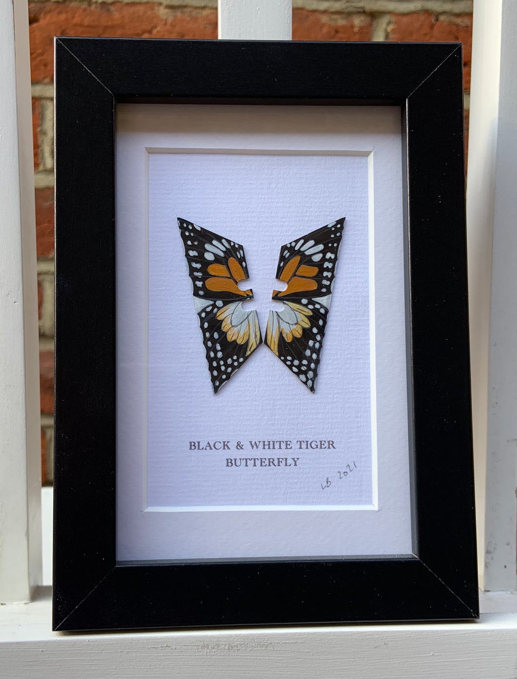 Lene Bladbjerg - Black & White Tiger Butterfly