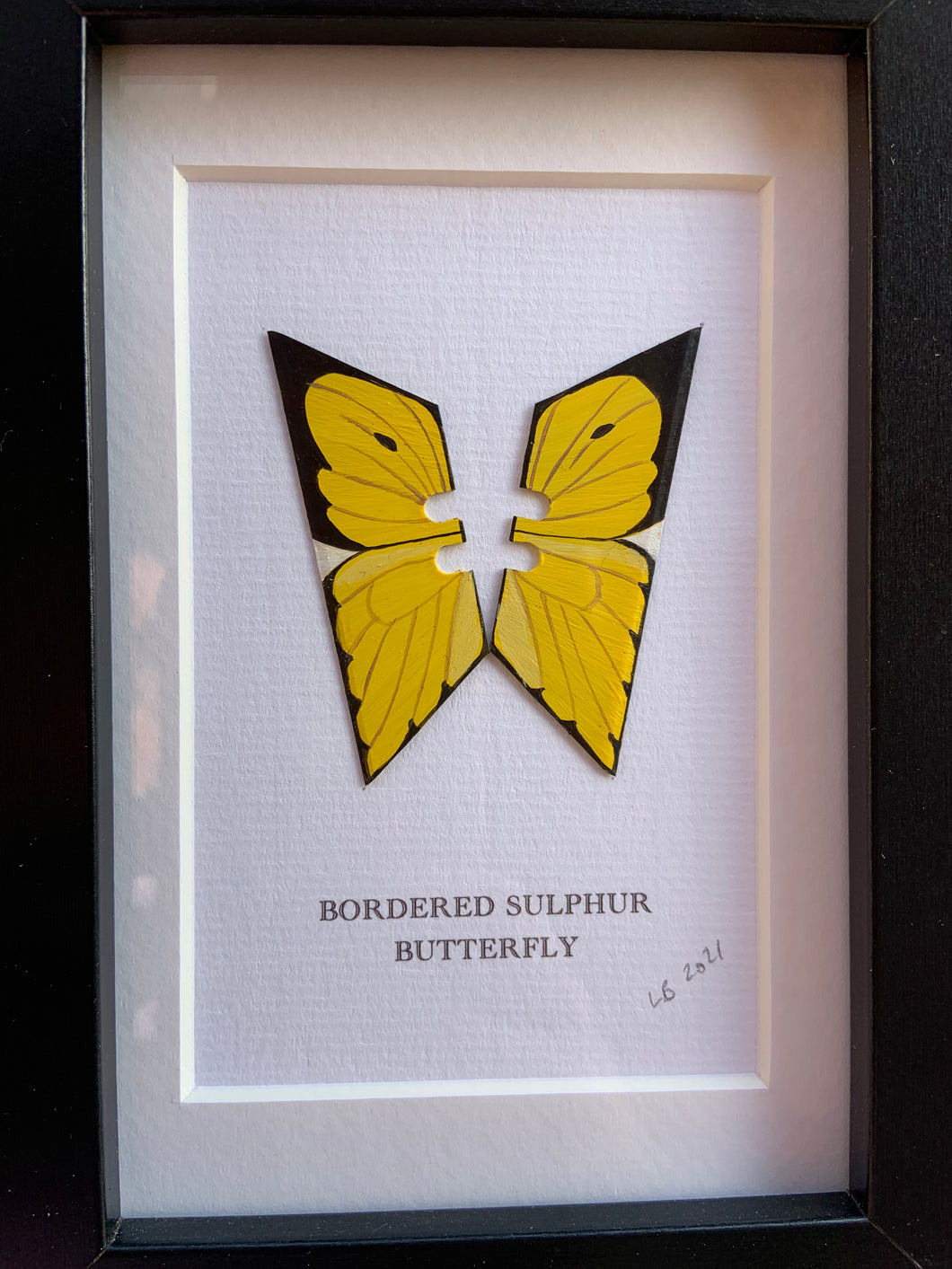 Lene Bladbjerg - Bordered Sulphur Butterfly