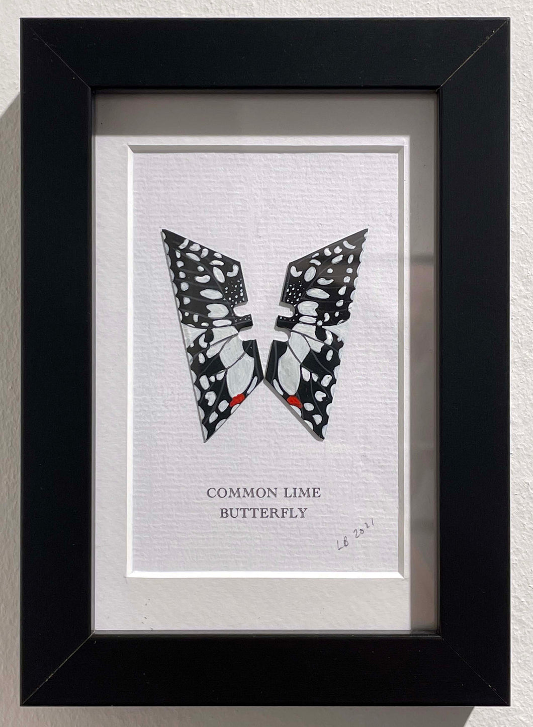 Lene Bladbjerg - Common Lime Butterfly