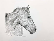 Load image into Gallery viewer, Niki Crafford - One Line Drawing - Horse
