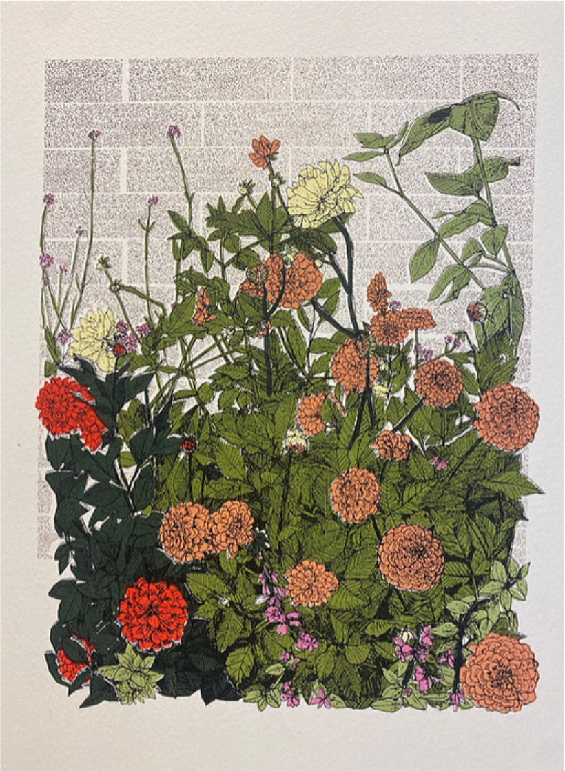 Clare Halifax - Dahlia Flowerbed