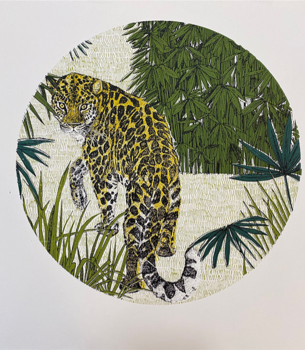 Clare Halifax - Looking Back Leopard
